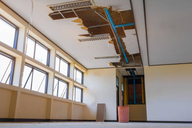 Best Water damage restoration near me  in White Hall, WV