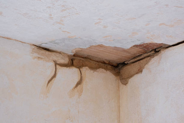 Best Water damage restoration near me  in White Hall, WV
