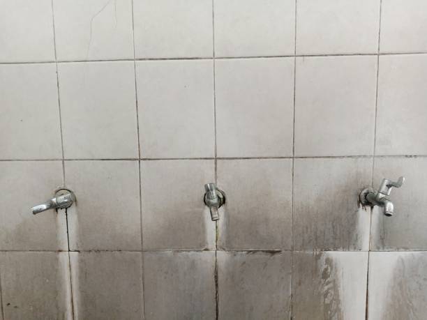 Best Commercial water damage restoration  in White Hall, WV