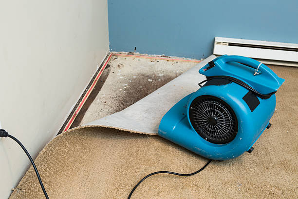 Best Local water damage restoration  in White Hall, WV